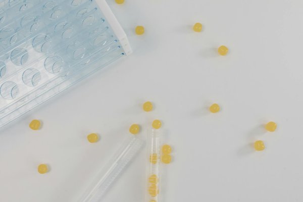 Comment bien vivre le maintien à domicile d'un proche malade ?